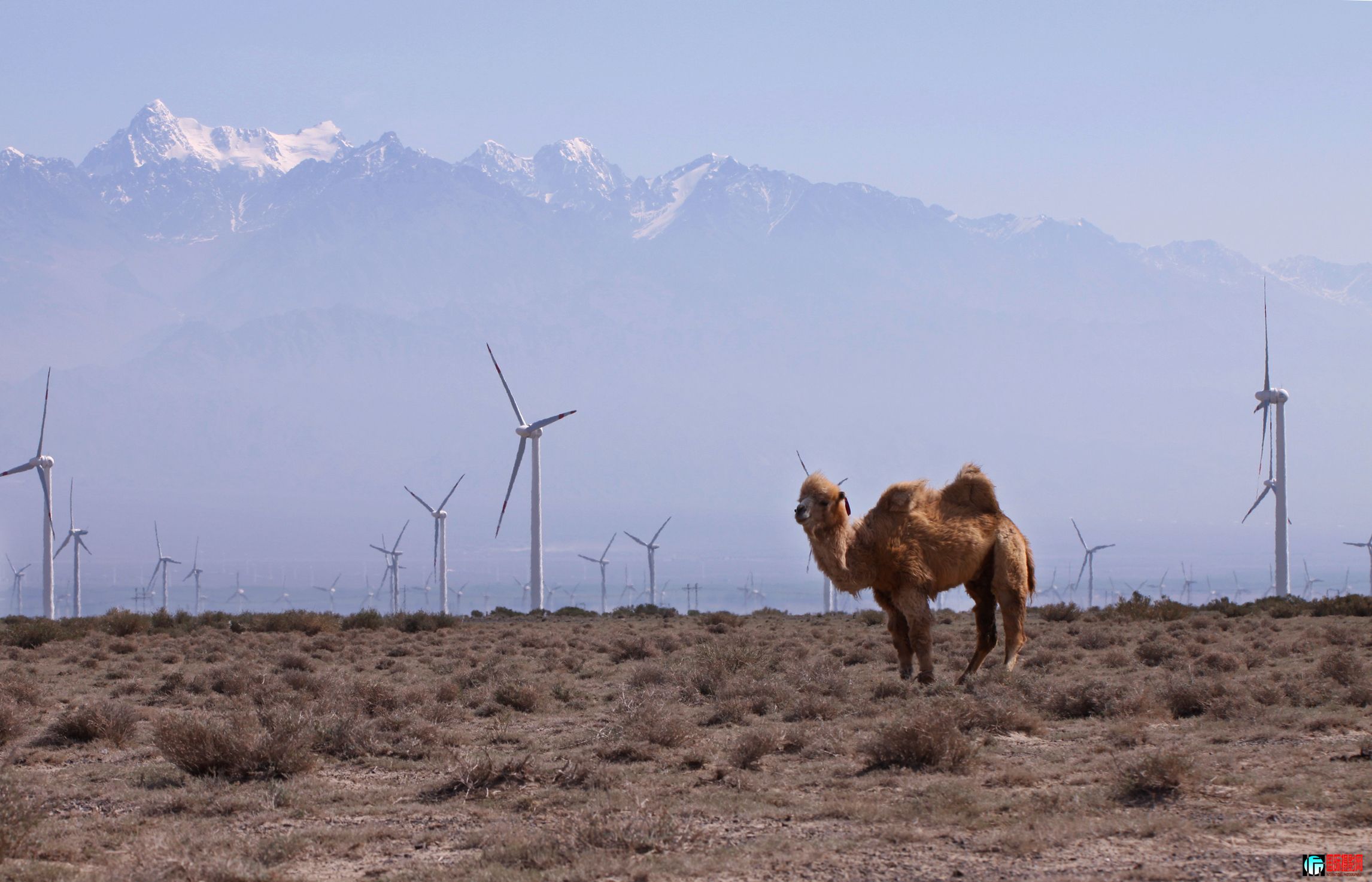 ��ɽ����