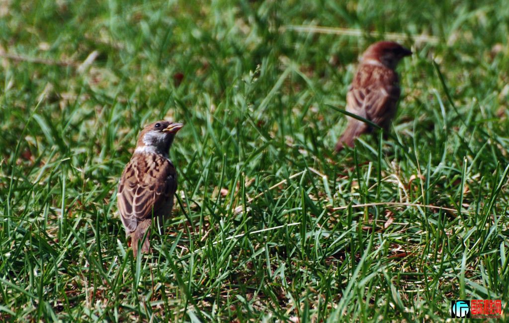 DSC_1217.jpg