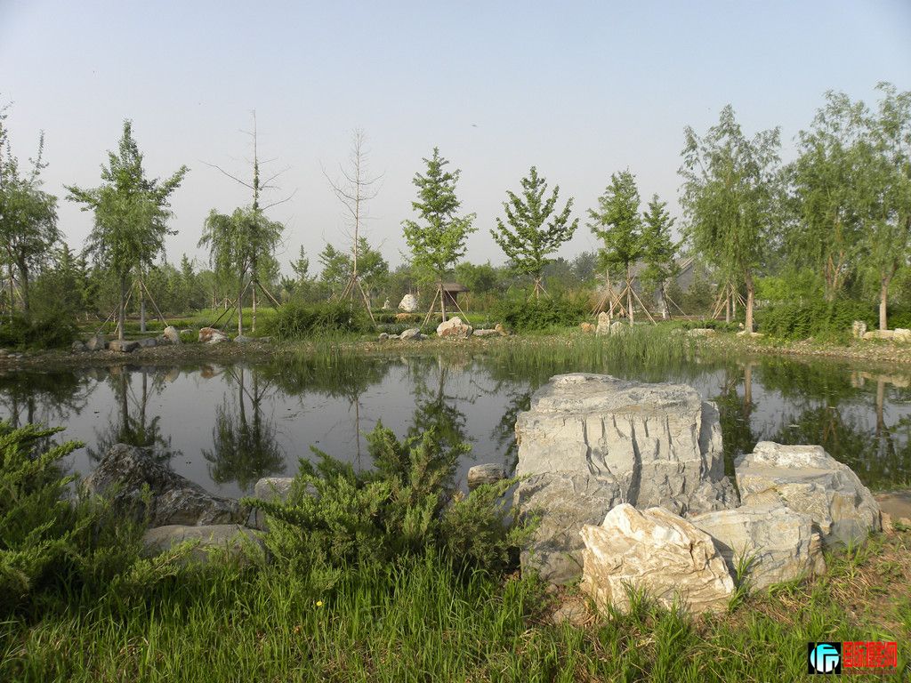 DSCN2969_.jpg