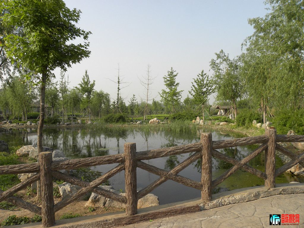 DSCN2970_.jpg