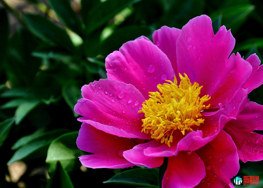 DSC_6543_12080.jpg