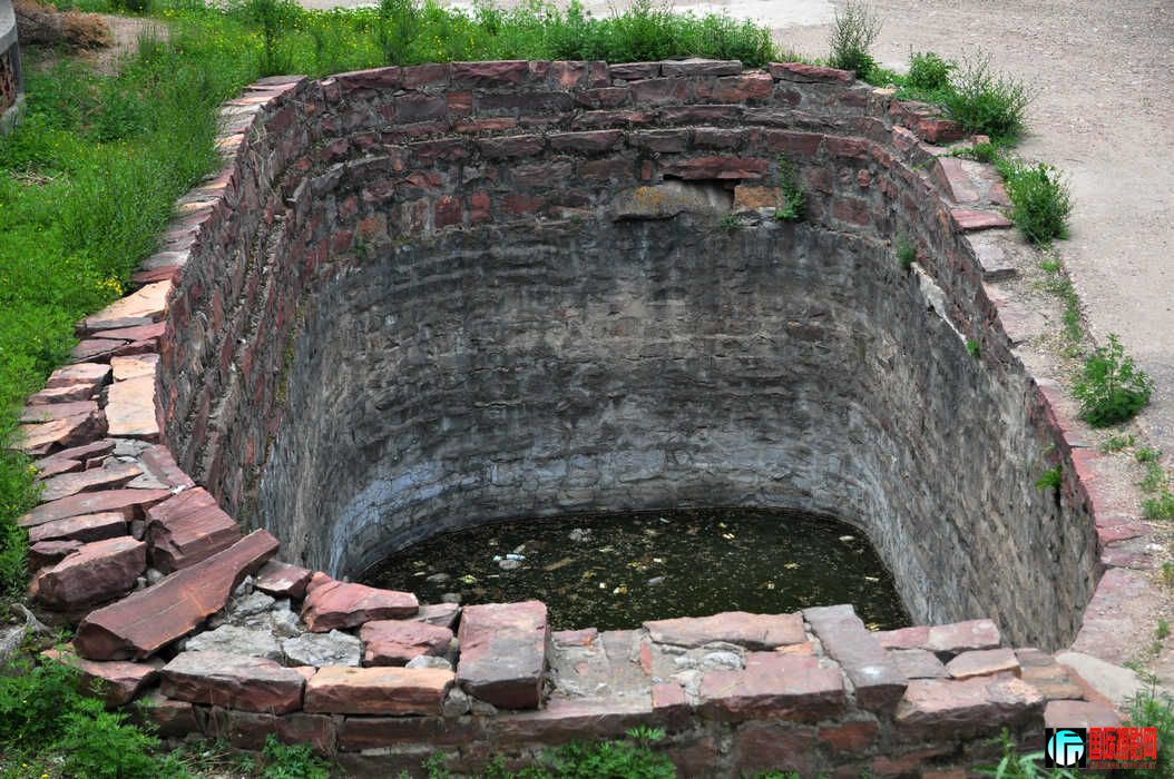 DSC_110.jpg