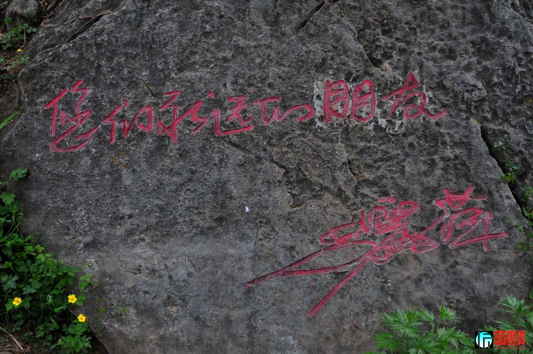 DSC_135.jpg