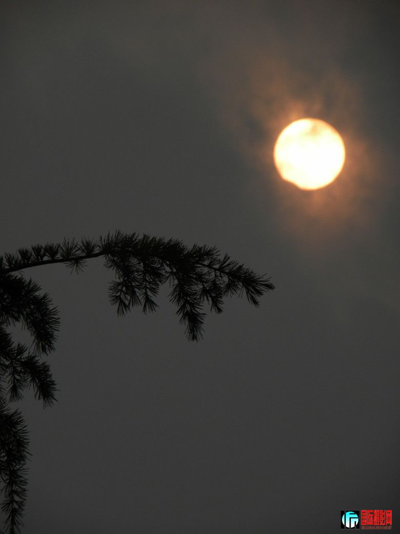 DSCN4630_.jpg