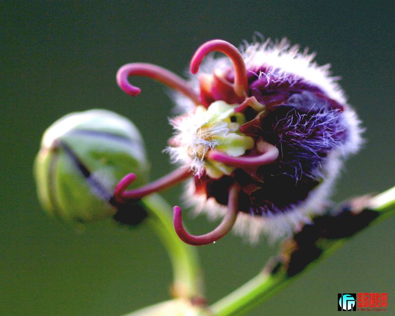 �������� (7).JPG