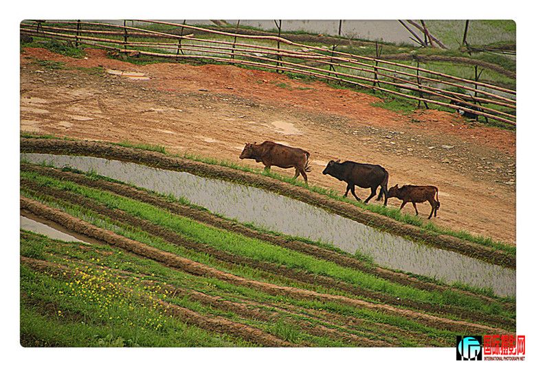 2012�Ӱ����� 399_����_����.jpg