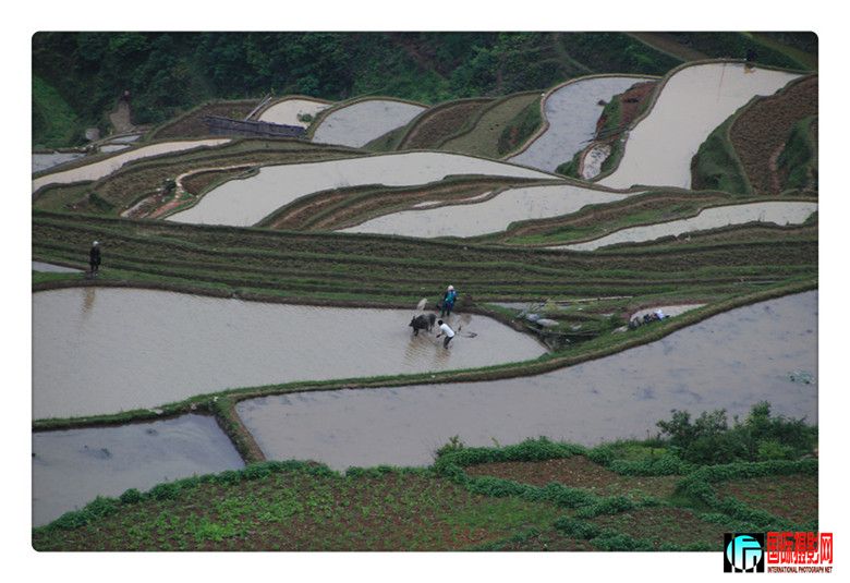 2012�Ӱ����� 70300_����.jpg