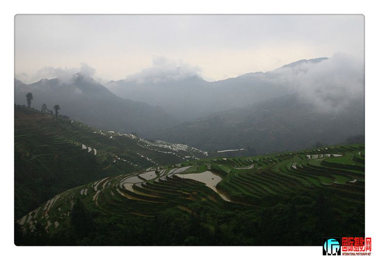 2012�Ӱ����� 176000_����.jpg