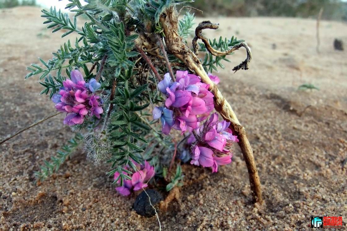 ޸.jpg