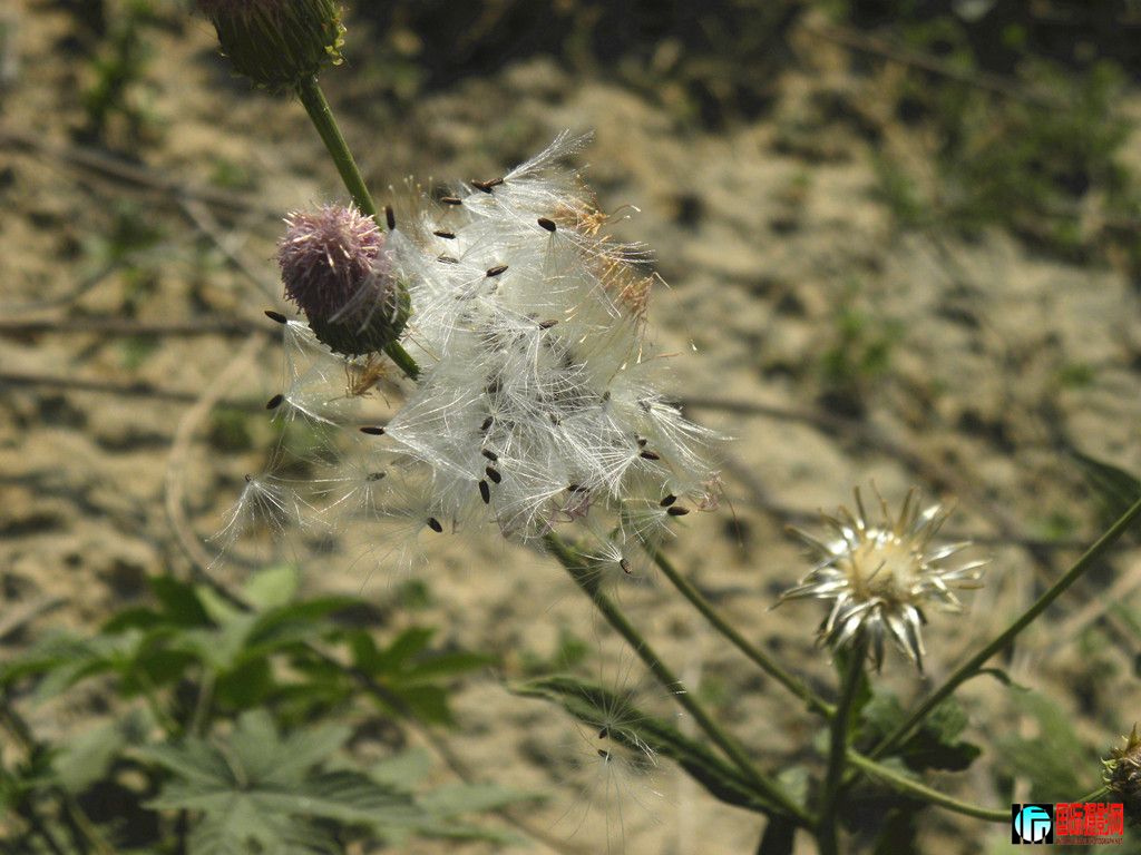 DSCN5362_.jpg