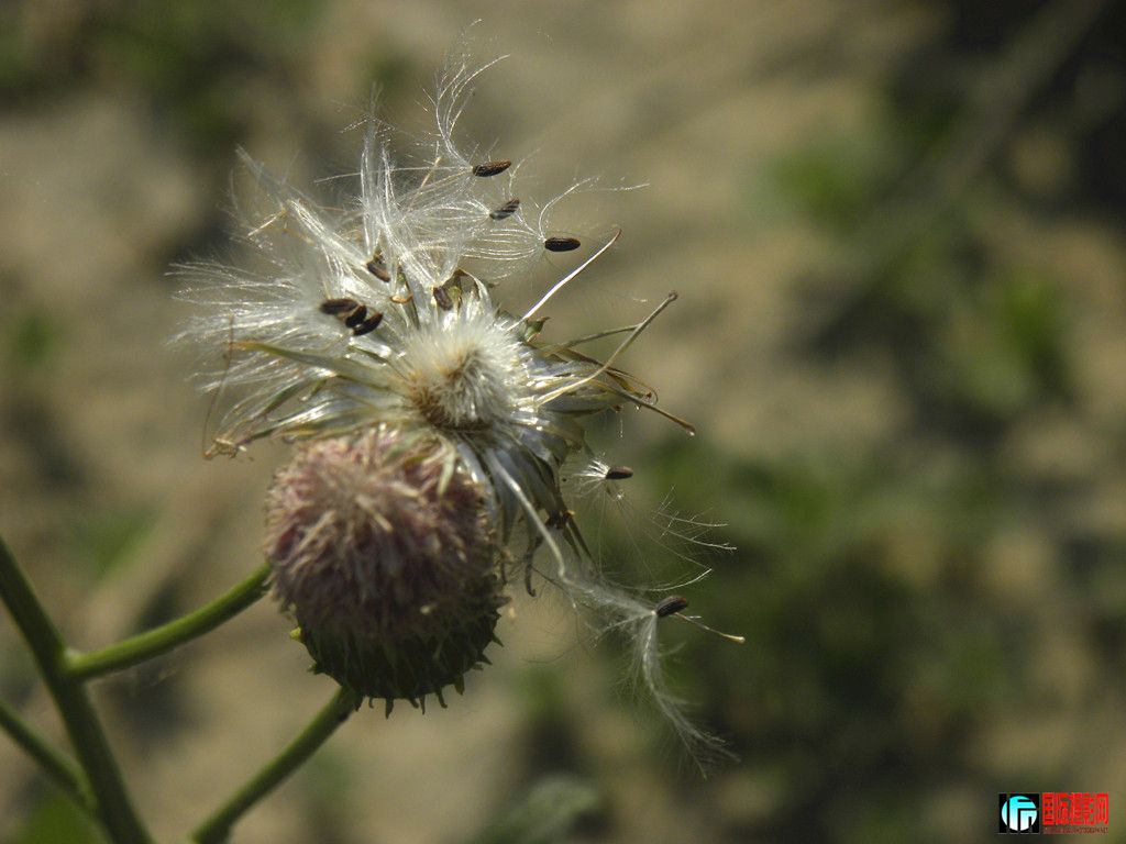 DSCN5360_.jpg
