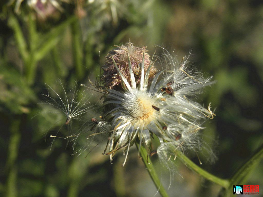 DSCN5350_.jpg