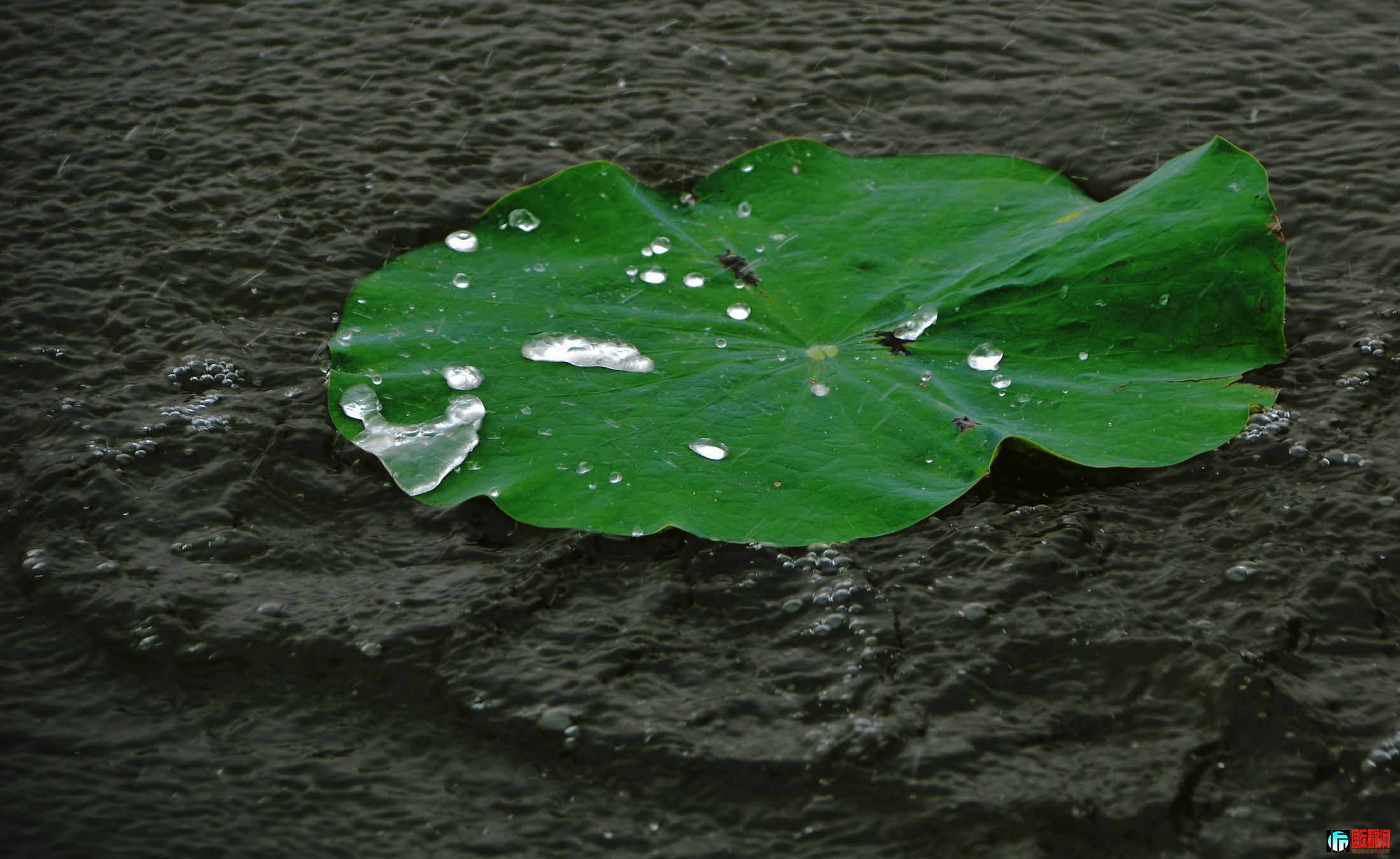 DSC_1447.JPG