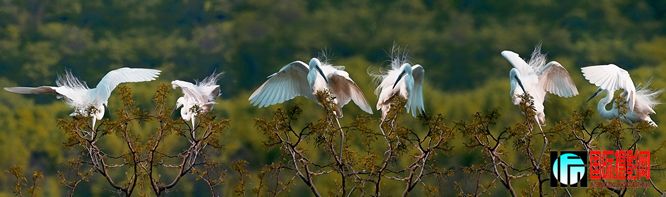 IMG_7660.jpg