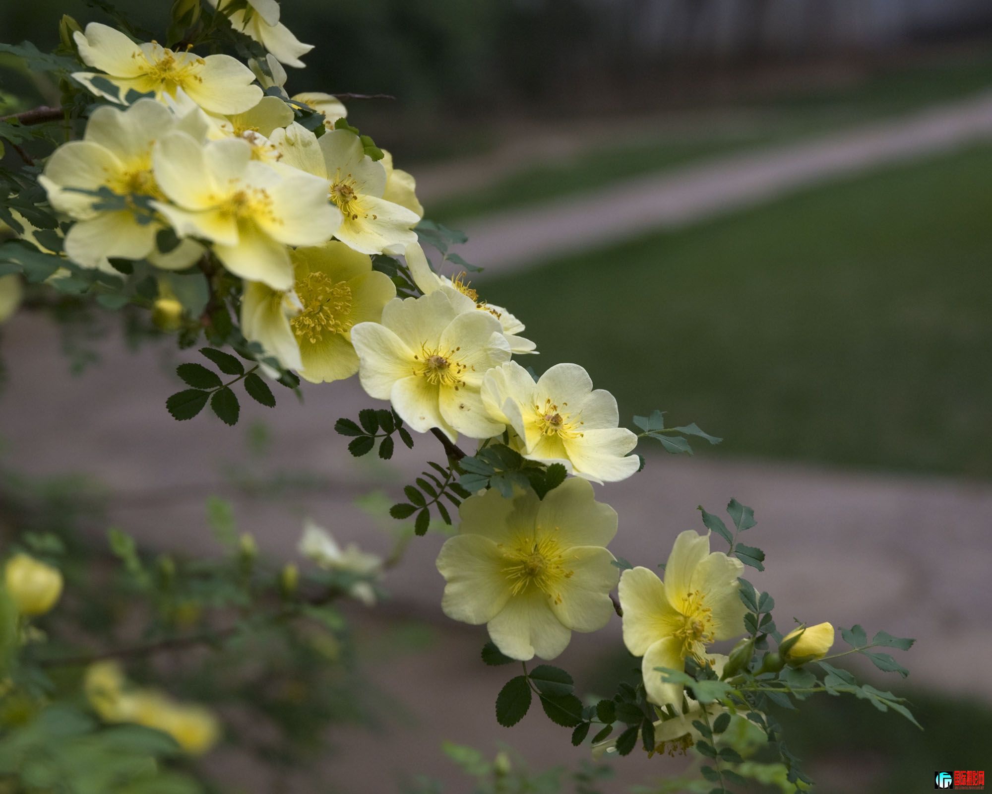 DSC_0282.jpg