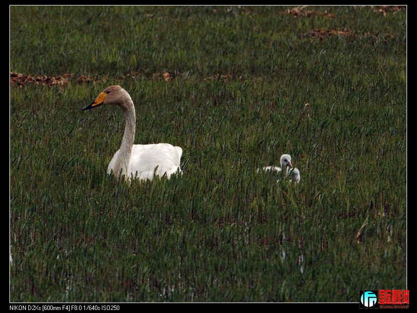 DSC_0344.jpg