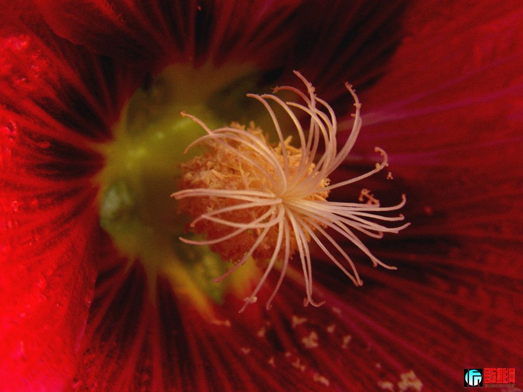 dscn5959_.jpg