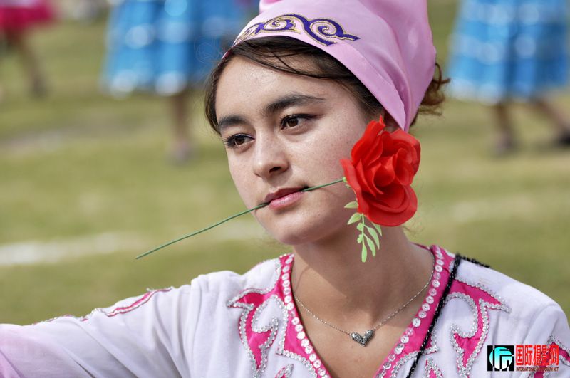 ���� _DSC0337.JPG