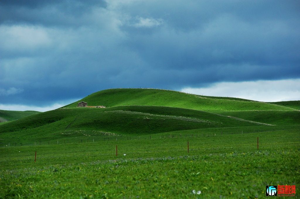 DSC_3481.JPG