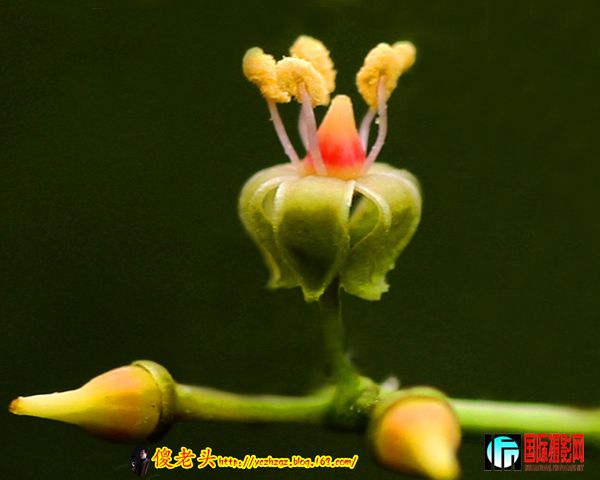 ��ɽ���� (8).JPG