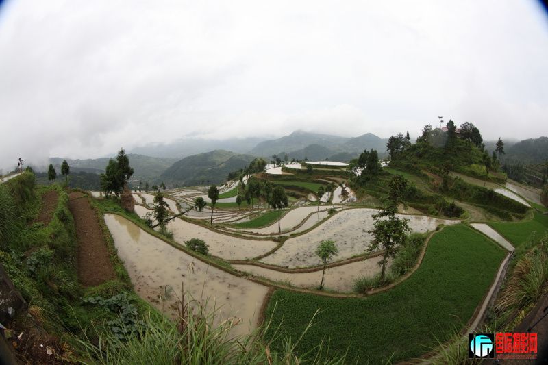 601V6058.JPG