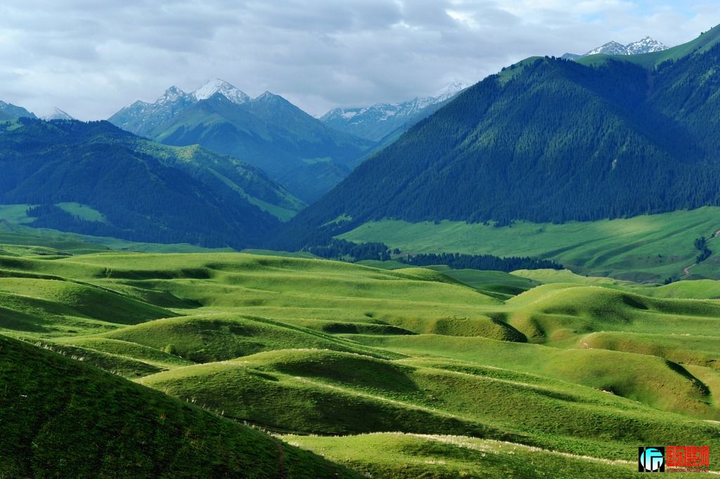 ���� DSC_3152.JPG