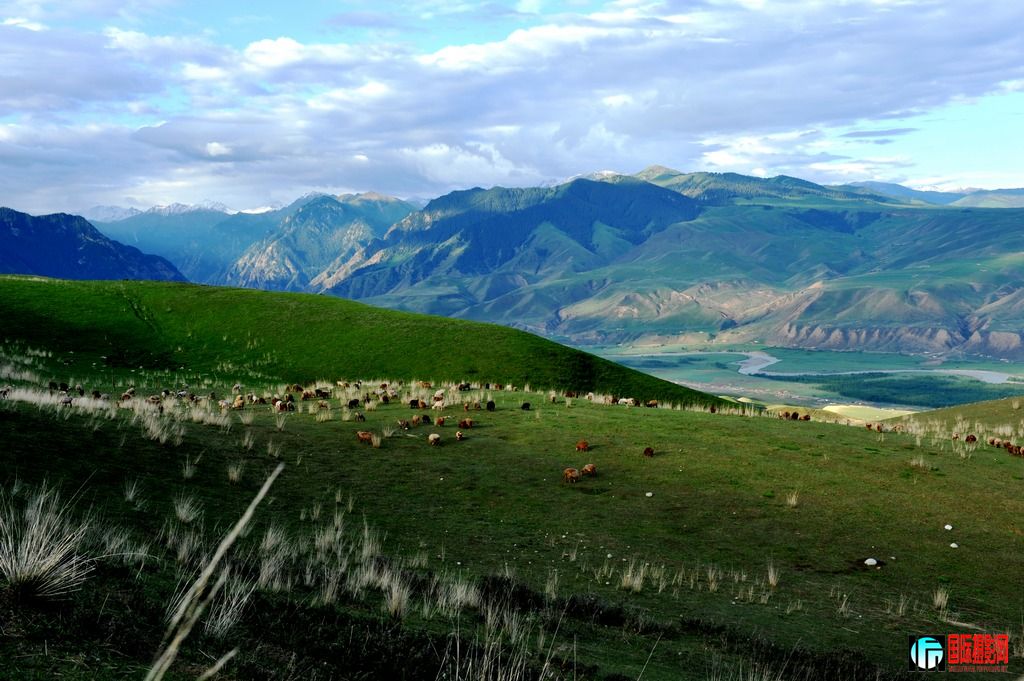 ���� DSC_3143.JPG