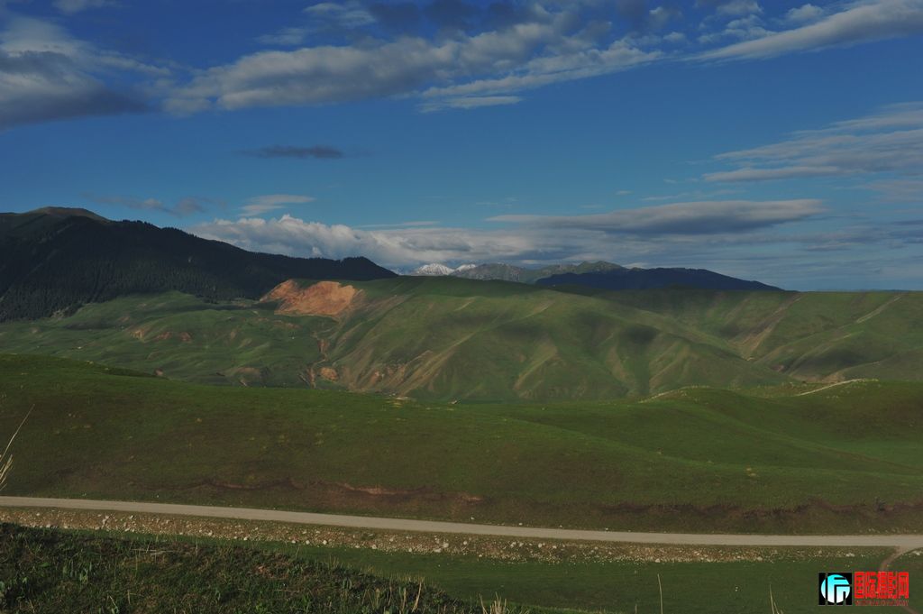 ���� DSC_3149.JPG