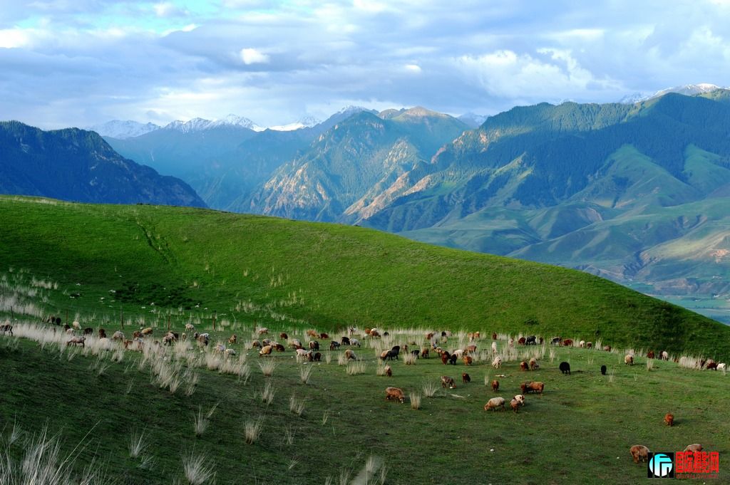 ���� DSC_3142.JPG