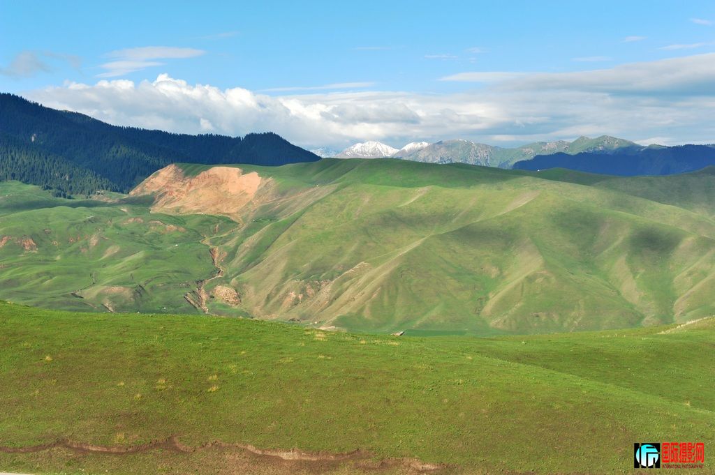 ���� DSC_3150.JPG