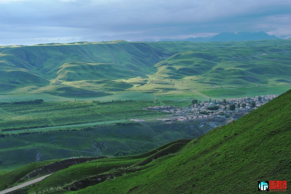 ���� DSC_3147.JPG