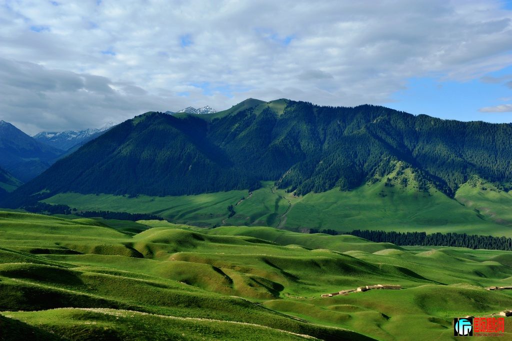 ���� DSC_3151.JPG