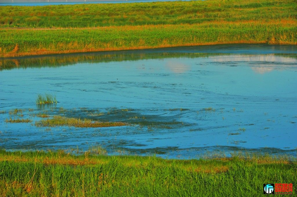 ���� DSC_3527.JPG