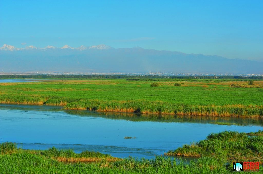 ���� DSC_3518.JPG