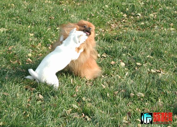 �ڶ���һ���� (4).jpg