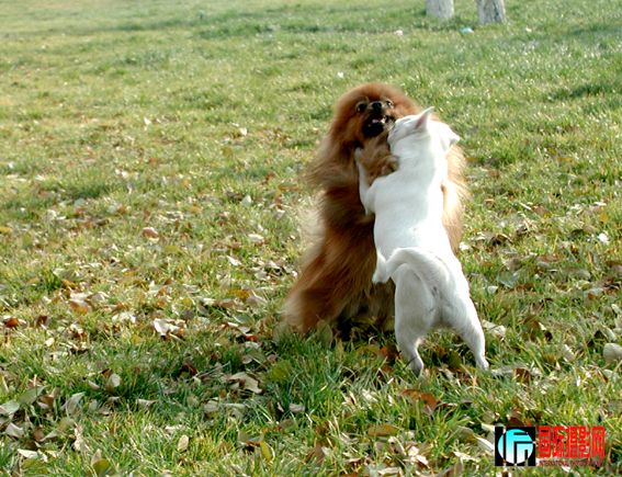 �ڶ���һ���� (13).jpg