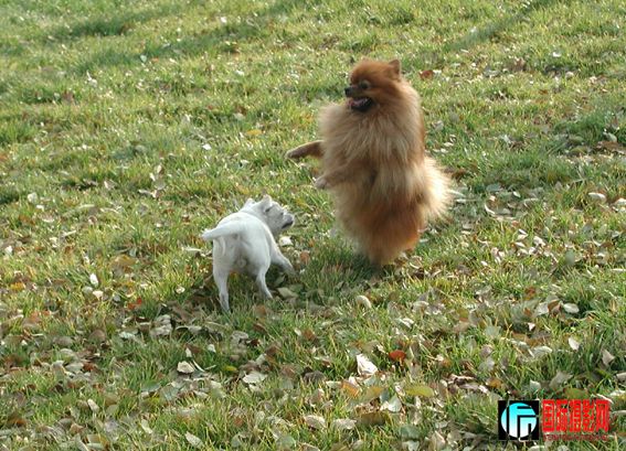 �ڶ���һ���� (16).jpg