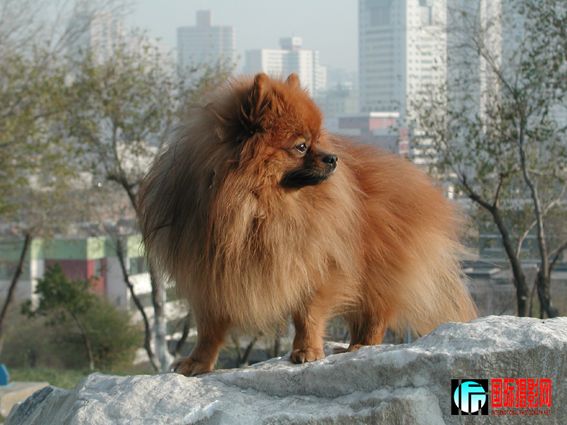 �ڶ���һ���� (31).jpg