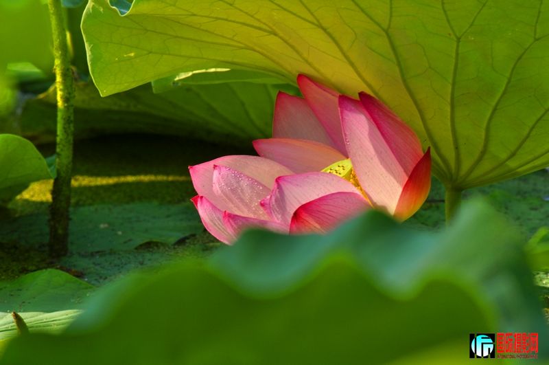 ���� _DSC0004.JPG