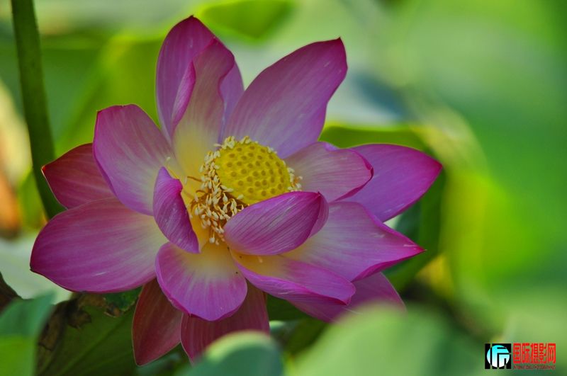 ���� _DSC0035.JPG