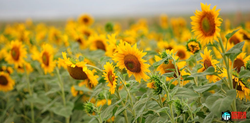 NiKonD3X JPG��2012��6��23�ա�����ڡ����տ� 059.jpg