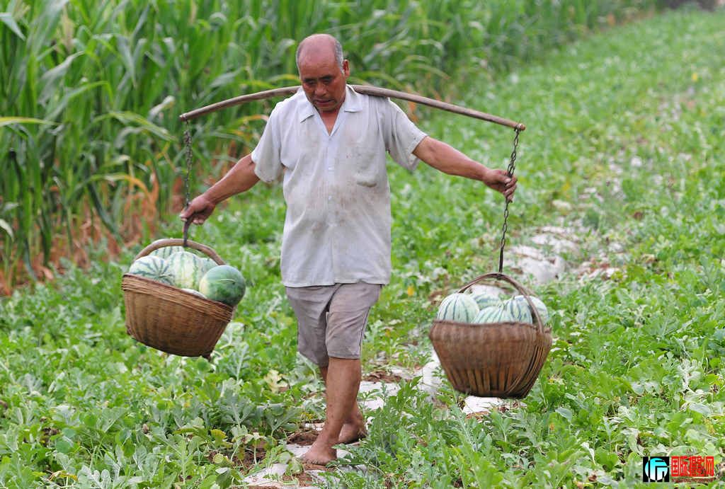 NiKonD3X JPG��2012��6��23�ա�����ڡ����տ� 101.jpg