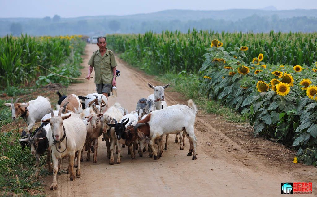 NiKonD3X JPG��2012��6��23�ա�����ڡ����տ� 070.jpg