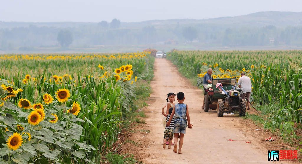 NiKonD3X JPG��2012��6��23�ա�����ڡ����տ� 116.jpg