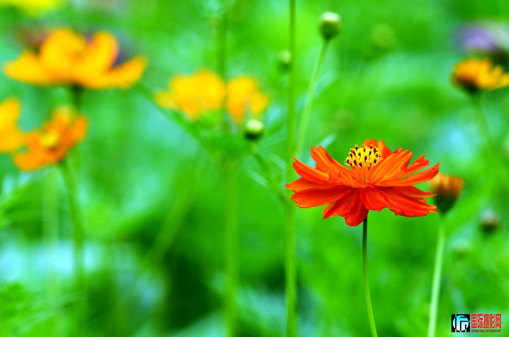 _DSC86271024.jpg
