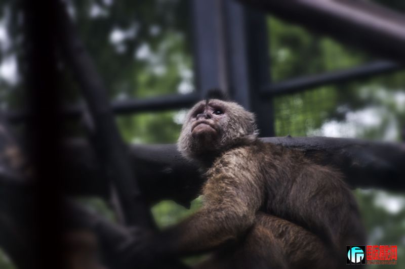 DSC05132 ����.jpg