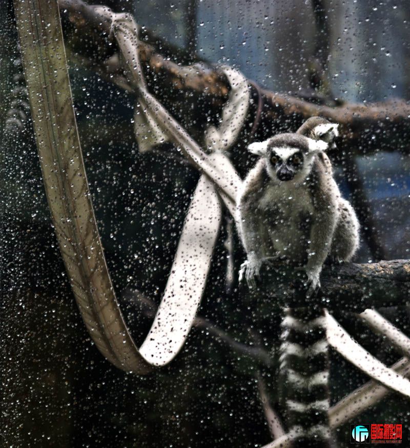 DSC05118 ����.jpg