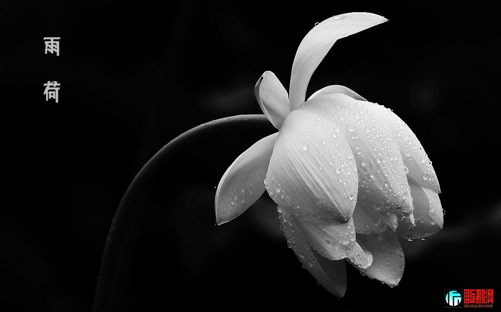 D3X��2012��6��28�ա���� 133.jpg