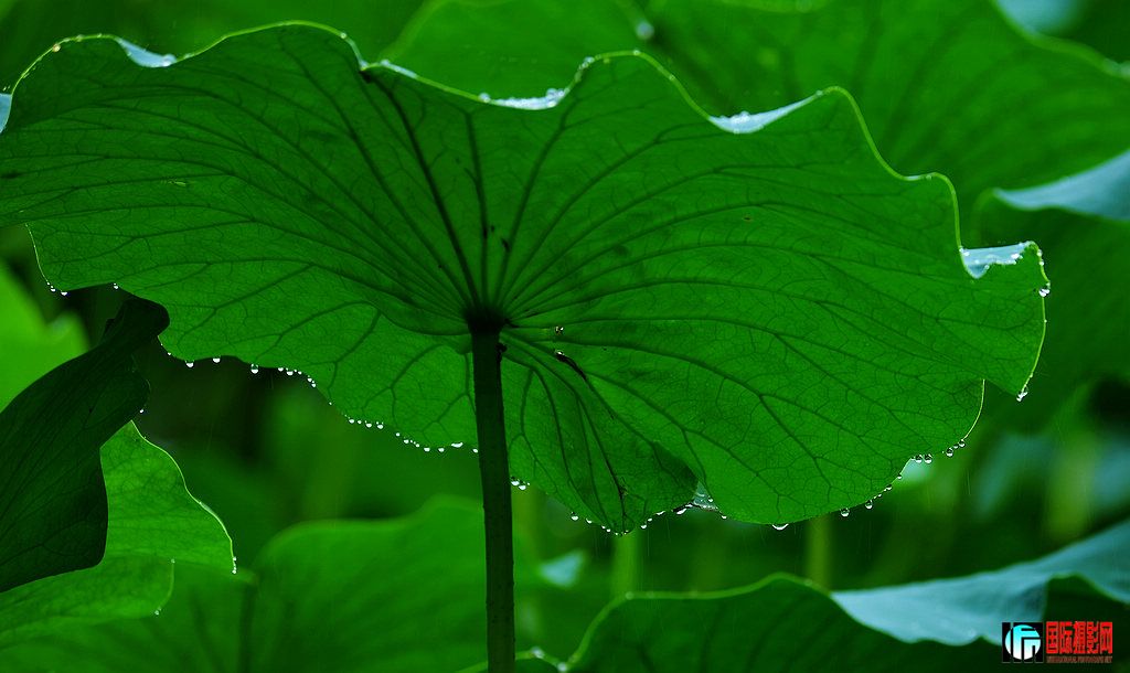 D3X��2012��6��28�ա���� 106.jpg