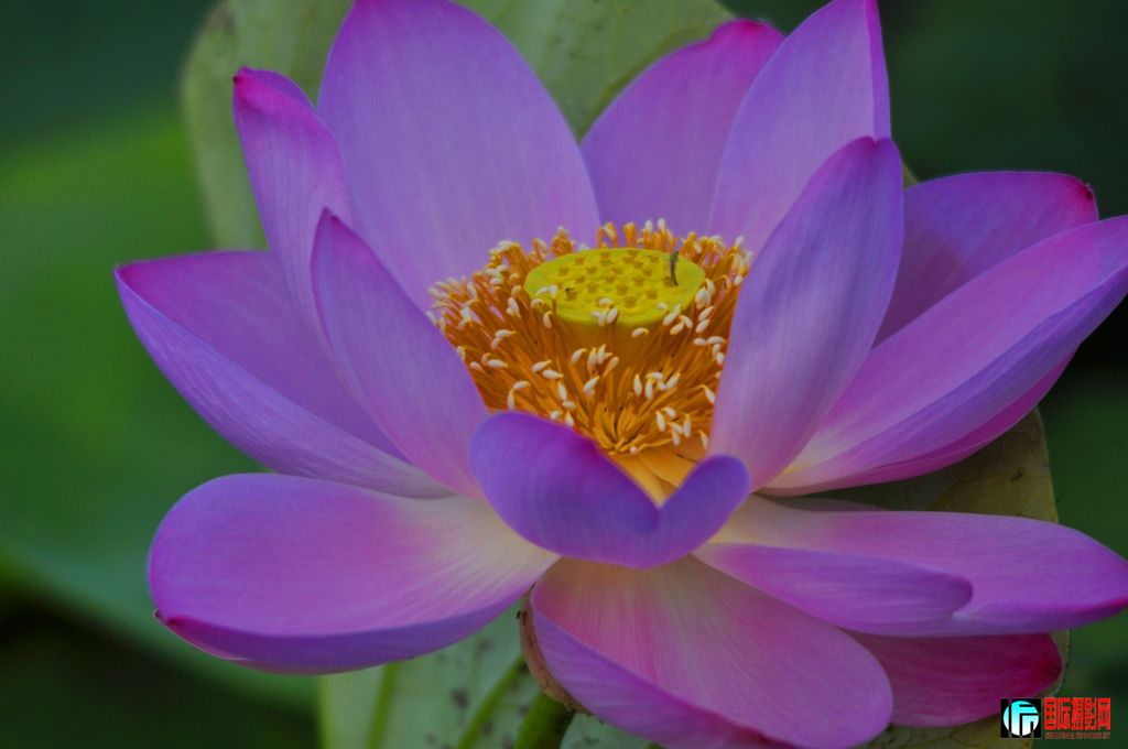 ���� _DSC0007.JPG